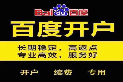 百度推广操作指南：案例解析